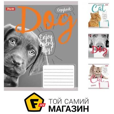 1 Вересня Тетрадь А5 24 листов в линию CAT 20шт в упак (764087)
1 Вересня Тетрадь А5 24 листов в линию CAT 20шт в упак (764087)