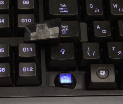 Gaming G110 USB Black (920-002240) 