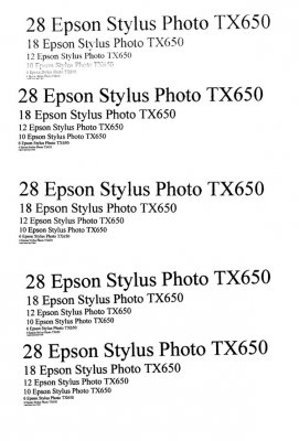  Stylus Photo TX650 (C11CA51321)