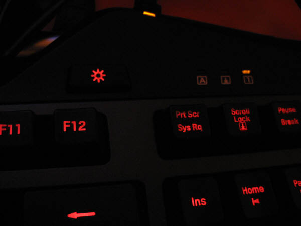 G19 Gaming USB Black RU (920-000977) 