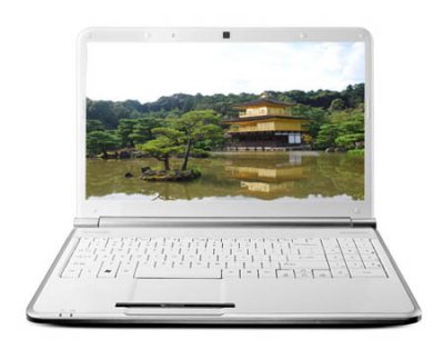  Packard Bell EasyNote F2366-CU-99RU (LX.BFJ0C.003) 