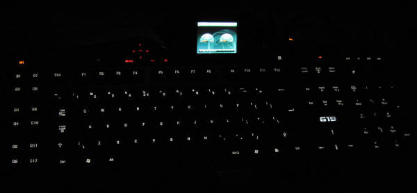 G19 Gaming USB Black RU (920-000977) 