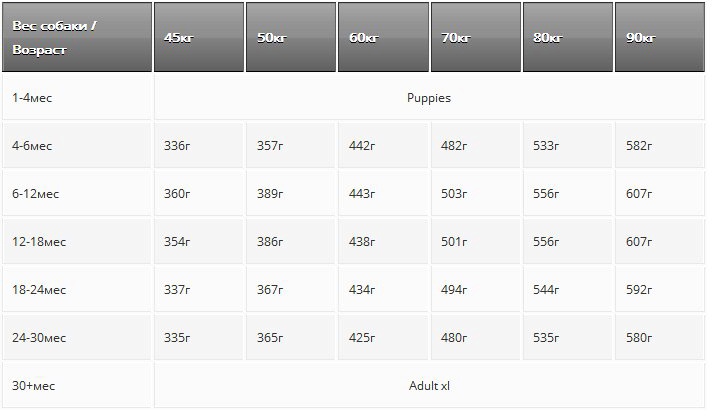 Premium Junior XL 15