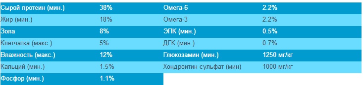 Six Fish 13 