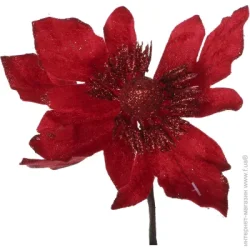     1517   (EPI-EYF14-5169)