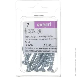 Еврошуруп 6,3х30 мм 10 шт.