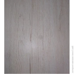 Панель ПВХ Laminat Decomax 6443 Дуб Бенсон белый 250х6х2700 мм