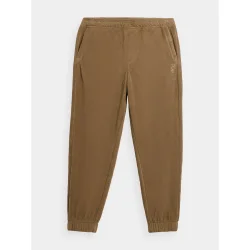 Спортивные брюки 4F Брюки TROUSERS CAS M470AW23TTROM470-81S р. M бежевый