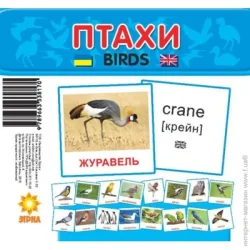 Видавництво Зірка Мини-карточки Птицы 72753