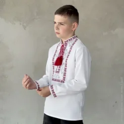 Рубашка Едельвіка Вышиванка для мальчиков р.134 белый 164-25/09