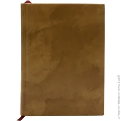 Ежедневник Аркуш DeLux А5