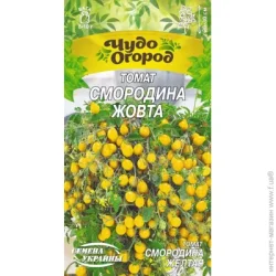 Семена Украины Семена томат Смородина желтая 0,1г (4823099810987) 0.1 г