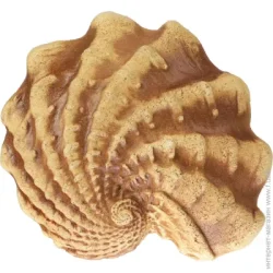 Наш Шлях Декоративный элемент Третий дар Посейдона