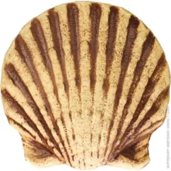 Наш Шлях Декоративный элемент Первый дар Посейдона