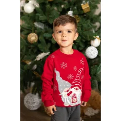Art Knit Джемпер детский унисекс с гномом р.116