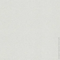 A.S.Creation Обои под покраску Go Pro 3100-19