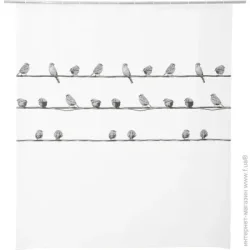 Шторка для душа Bacchetta Штора для душа Birdies nero 10 180x200