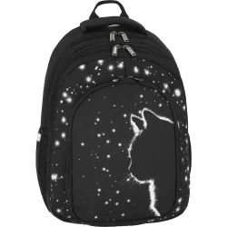 Рюкзак школьный Bagland Рюкзак школьный Black Cat 16 л 59166 для девочек , подростковый