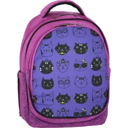 Рюкзак школьный Bagland Рюкзак школьный Different Cats 23 л 56566 для мальчиков , подростковый