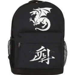 Рюкзак шкільний Bagland Рюкзак шкільний Dragon 17 л 533662 для хлопчиків , підлітковий