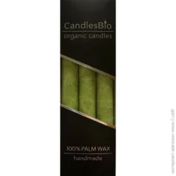 Candlesbio Набор свечей WP02 20/180 лайм 3 шт.