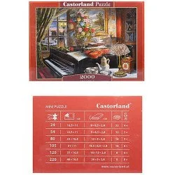 Пазл классический Castorland Ансамбль (C-200641)