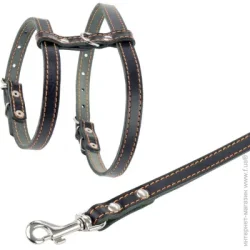 Collar Повідець-шлея для маленьких собак 1,6х120 см, чорний