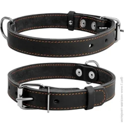 Collar Ошейник одинарный 2,5х38-50 см черный