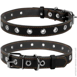 Collar Ошейник безразмерный 2,5х60 см 244