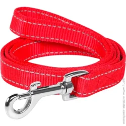 Collar Поводок из нейлона двойной 2,5x110 см красный