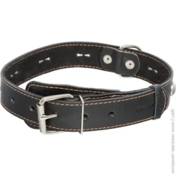 Collar Ошейник одинарный с украшениями 3,5х48-63 см 0271