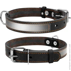 Collar Нашийник 48-63 см 298