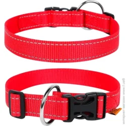 Collar Ошейник Dog Extreme регулируемый 2,5х40-65 см 2523