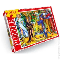 Пазл класичний Danko Toys Юні чарівниці (С260-13-11)