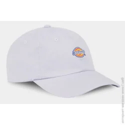 Dickies Кепка HARDWICK DK0A4TKVH181 os фиолетовый