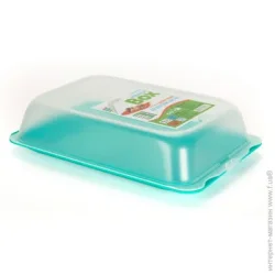 Контейнер полипропилен Diomedea Контейнер для пищевых продуктов с крышкой HANDY BOX №49 зеленый