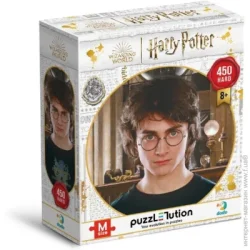 Пазл классический Dodo Hard-M "Harry Potter. Портрет Гарри", 450 элементов (200576)