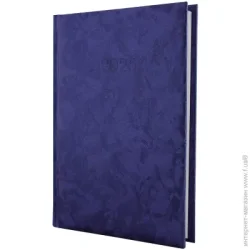 Economix Щоденник датований, GALLAXY, синій, А5 (E21693-02)