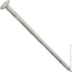 Expert Fix Цвяхи шиферні 5x120 мм 1 кг цинк білий (S10G460A2-2me)