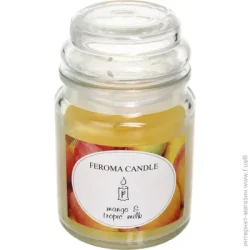Feroma Candle Свічка ароматична Арома Банку Mango Fruit