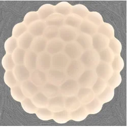 Focus Light Светильник потолочный 2*36W белый L8136-400