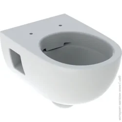 Унитаз Geberit Selnova Rimfree без сиденья (4025410759023)