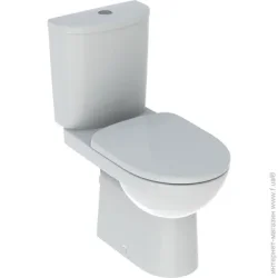 Унитаз Geberit Selnova Rimfree компакт с сиденьем Soft Close (501.753.00.1)
