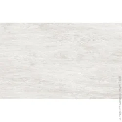 Golden Tile  Carina light gray CRG051 2540 