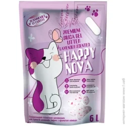 Happy Nova     6  2,2 