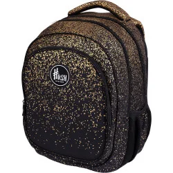 Рюкзак школьный Hash AB300 Golden Dust