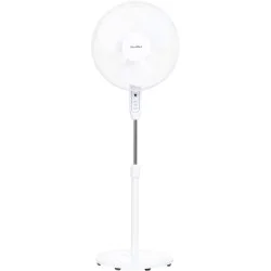 Вентилятор Hausmark HSFM-1625WH/RC