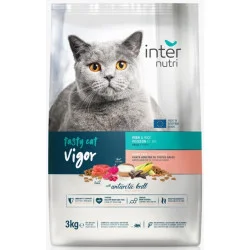 Корм сухой для взрослых энергичных котов всех пород Tasty Vigor с тунцом и креветками 3 кг