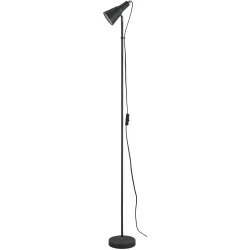 Laguna Lighting Торшер 25 Вт Е27 графит/античная бронза 60365-01