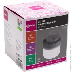 Ledpulsar Фонарь светодиодный RFL-D112-9W 6500